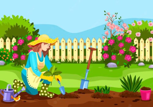 Spotlessly clean and manicured lawn after mowing and edging services by Florida Lawnscaping Services.
