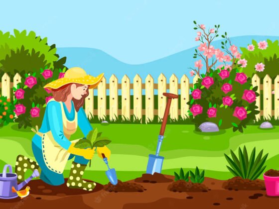 Spotlessly clean and manicured lawn after mowing and edging services by Florida Lawnscaping Services.