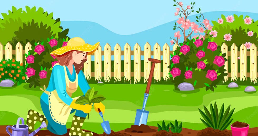 Spotlessly clean and manicured lawn after mowing and edging services by Florida Lawnscaping Services.