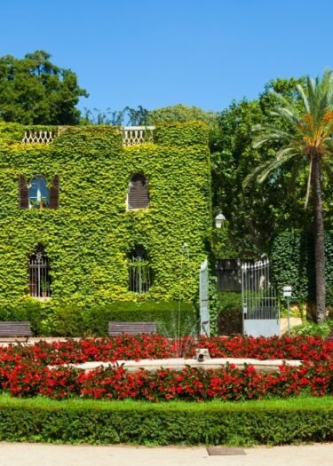 Professional-Garden-Maintenance-and-Design Beautifully designed and maintained garden with a fountain by Florida Lawn Care Services in Naples, Florida